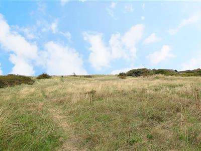 Picture 30